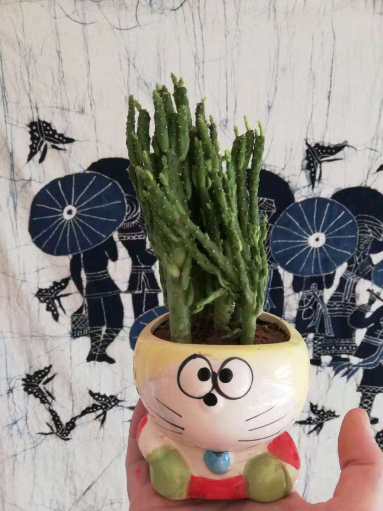 WeChat Image_20181105181349