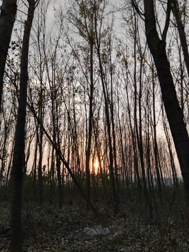 WeChat Image_20181219111426