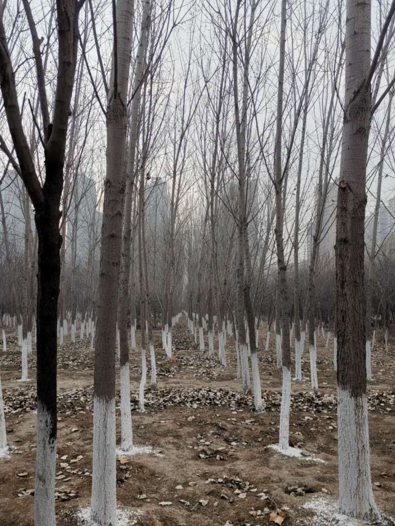 wechat image_20190116203413