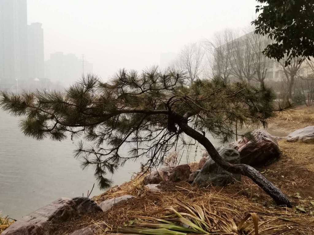 wechat image_20190130183719