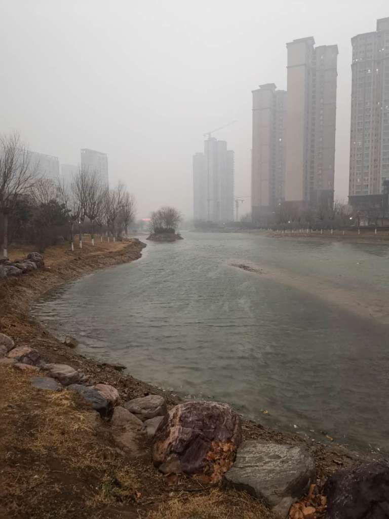 WeChat Image_20190203215015