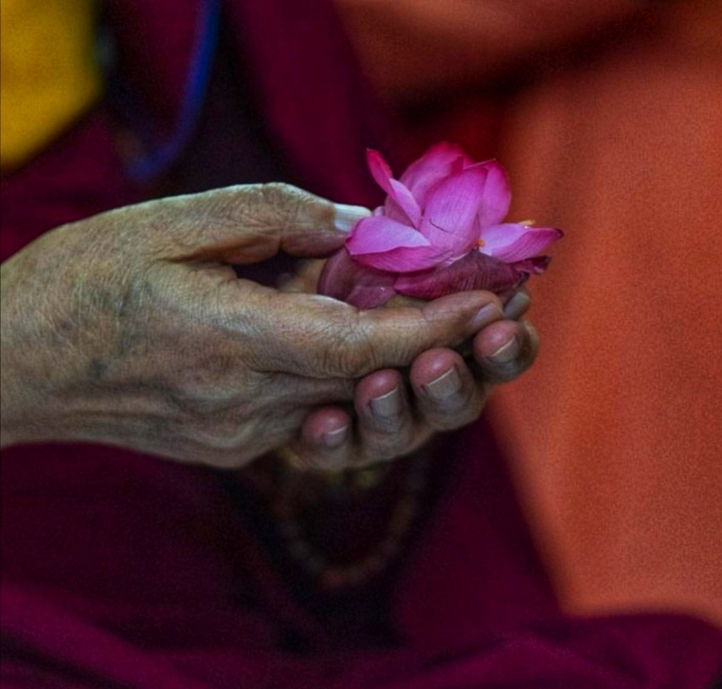 Screenshot_20191111_234621-01